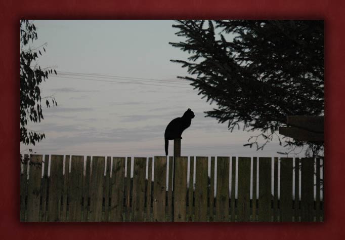 Prayer For Loneliness