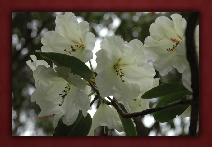 Prayer For The Loss Of A Child