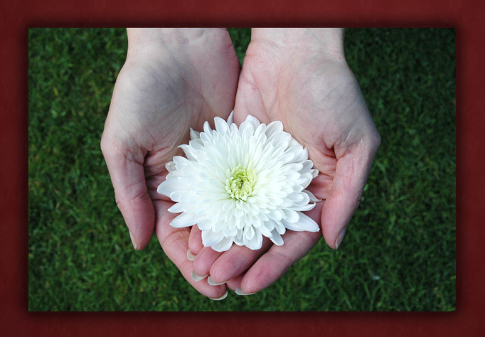 Prayer For Miscarriage